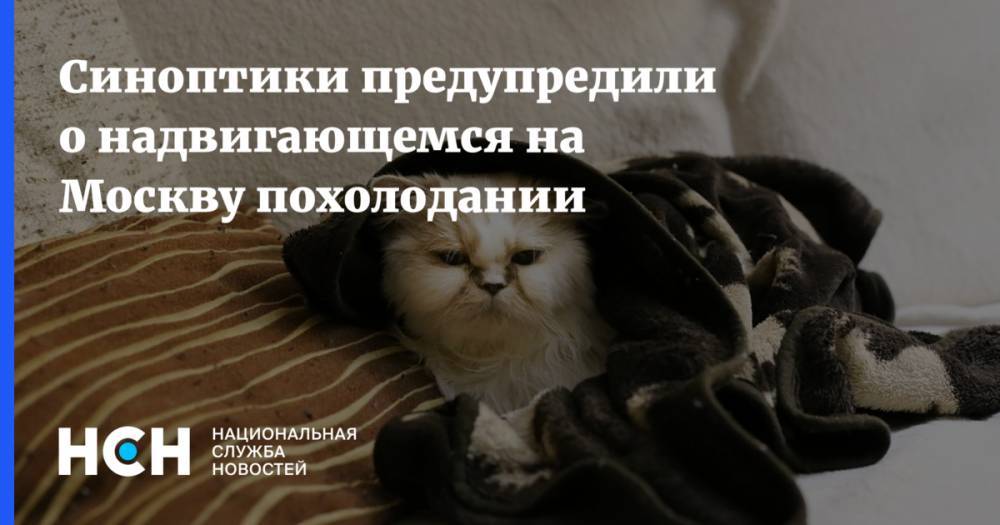 Михаил Леус - Синоптики предупредили о надвигающемся на Москву похолодании - nsn.fm - Москва - Того