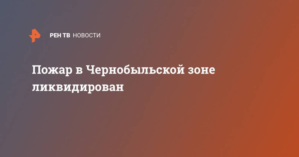 Пожар в Чернобыльской зоне ликвидирован - ren.tv - Украина - Киевская обл.
