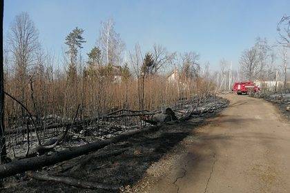 В Киеве замерили радиационный фон из-за пожаров в Чернобыле - lenta.ru - Украина - Киев - Виталий Кличко
