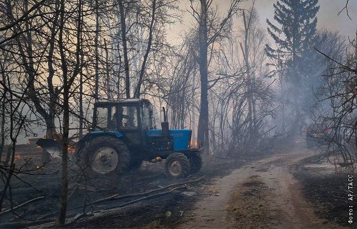 Виталий Кличко - Егор Фирсов - Дождь помог потушить пожар в Чернобыльской зоне - interfax.ru - Москва - Украина - Киев