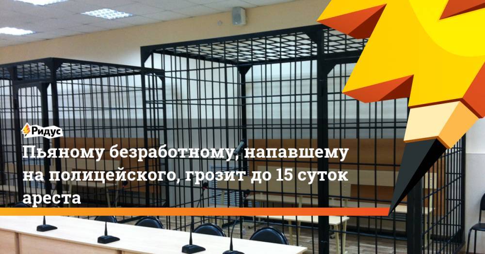 Пьяному безработному, напавшему наполицейского, грозит до15 суток ареста - ridus.ru - Москва - респ. Дагестан