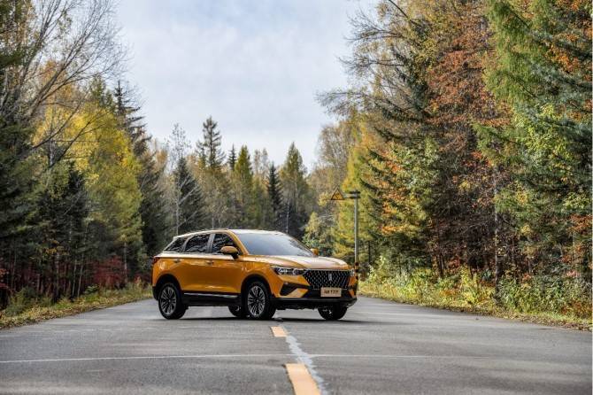 FAW разработал меры по поддержке продаж в России - autostat.ru - Россия