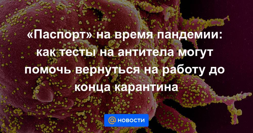 «Паспорт» на время пандемии: как тесты на антитела могут помочь вернуться на работу до конца карантина - news.mail.ru - США - Италия - Германия