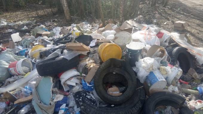 Жители Нового Девяткино пожаловались на горы мусора в Капральевом парке - piter.tv - Санкт-Петербург