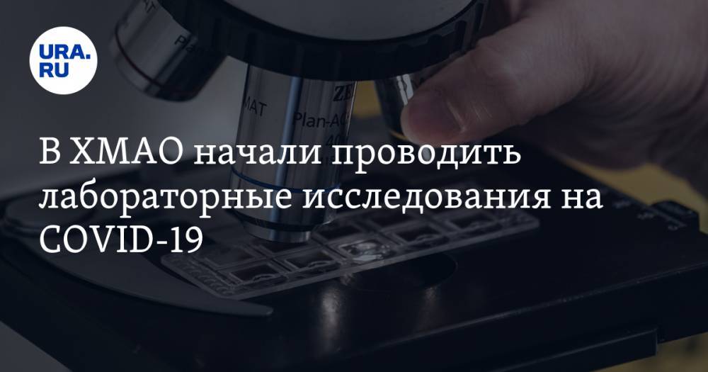 Алексей Добровольский - В ХМАО начали проводить лабораторные исследования на COVID-19 - ura.news - Югра - Новосибирская обл.