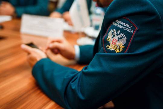 Выездные налоговые проверки остановили - versia.ru - Россия