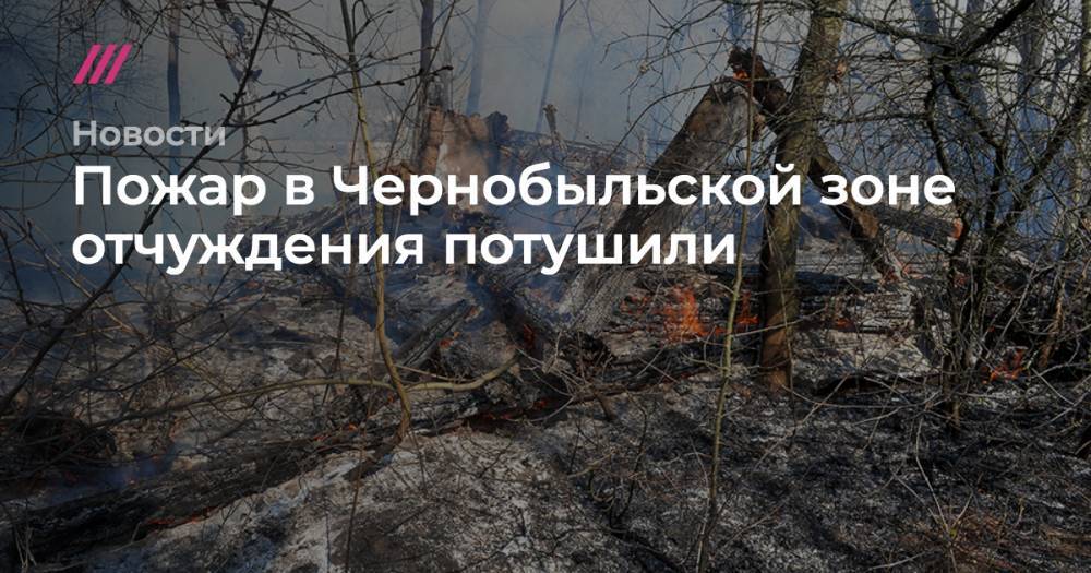 Николай Чечеткин - Пожар в Чернобыльской зоне отчуждения потушили - tvrain.ru - Украина