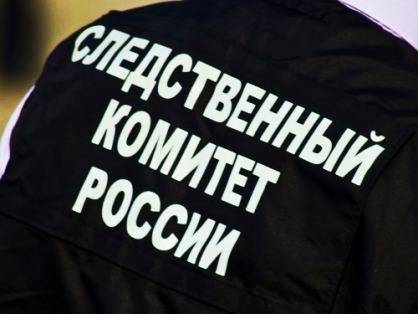 В СКР рассказали подробности убийства жены и мужа в Салехарде - znak.com - Россия - Салехард - окр. Янао