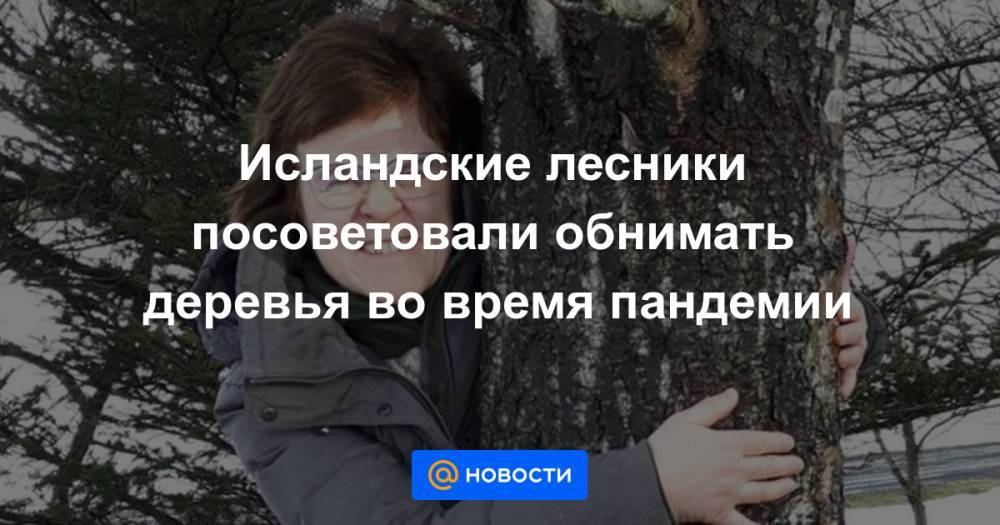 Исландские лесники посоветовали обнимать деревья во время пандемии - news.mail.ru - Исландия