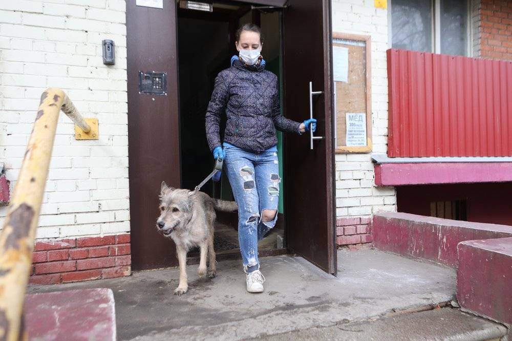 Более 31 тысячи посещений зарегистрировано на сайте проекта «Мы Вместе» - vm.ru - Москва