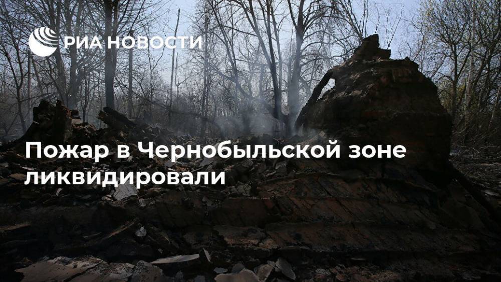 Владимир Зеленский - Николай Чечеткин - Пожар в Чернобыльской зоне ликвидировали - ria.ru - Украина - Киев