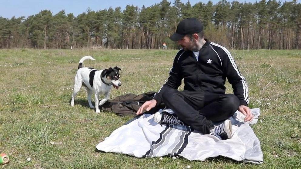 Хроники карантина: €150 штрафа за отдых на безлюдном лугу - germania.one - Германия - Бавария