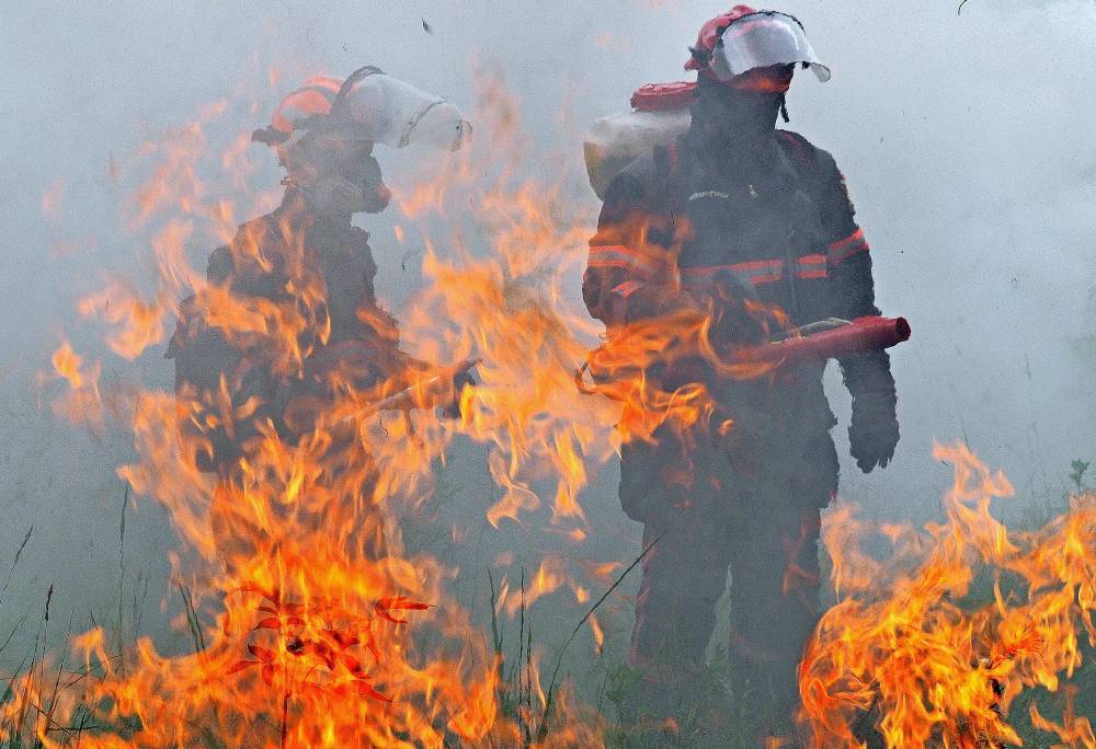 Рост количества природных пожаров зафиксировали в России - vm.ru - Россия