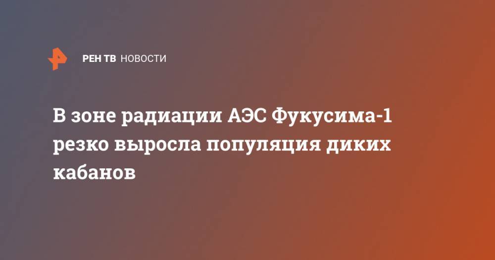 В зоне радиации АЭС Фукусима-1 резко выросла популяция диких кабанов - ren.tv - county Frontier