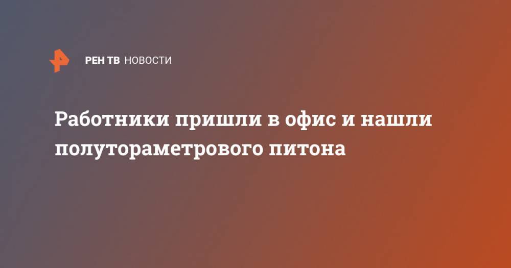 Работники пришли в офис и нашли полутораметрового питона - ren.tv - Австралия - штат Квинсленд