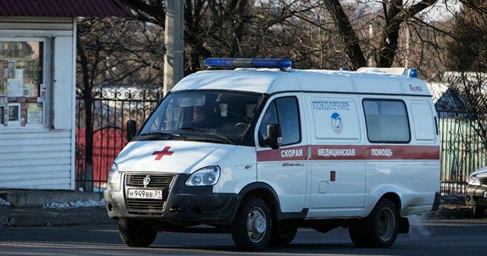 С прогулки ребенка экстренно госпитализировали в больницу Кузбасса - ren.tv - Кемеров