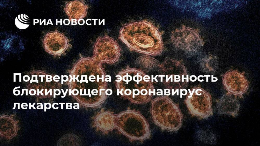 Подтверждена эффективность блокирующего коронавирус лекарства - ria.ru - Москва - США