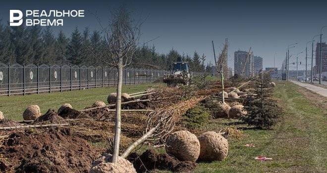 В Казани высаживают 1075 новых деревьев - realnoevremya.ru - Казань - Татарстан