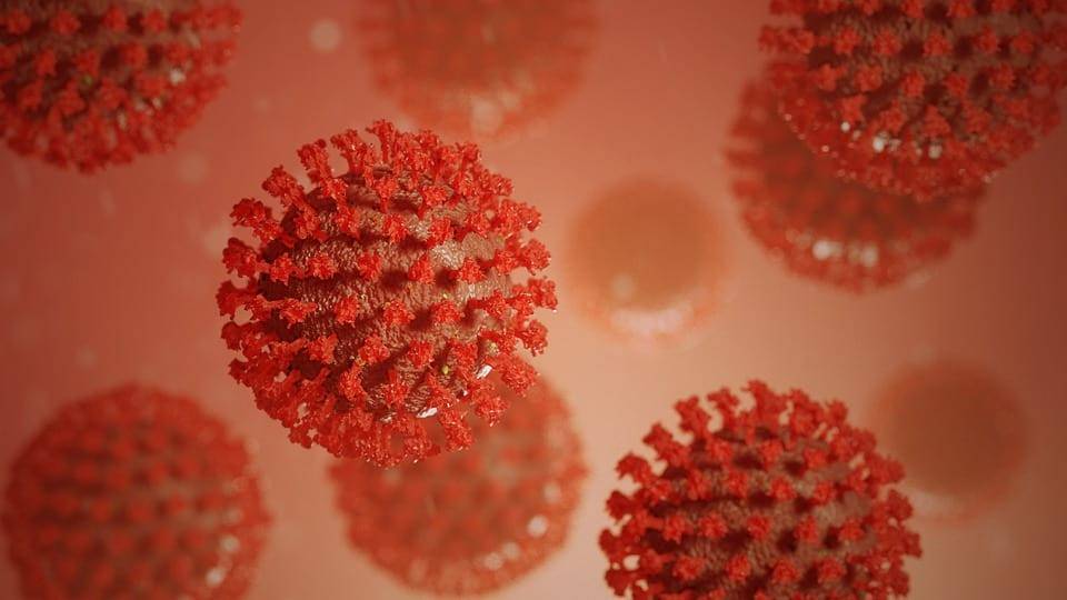 Впервые зафиксировали передачу COVID-19 от умершего - Cursorinfo: главные новости Израиля - cursorinfo.co.il - Израиль - Индия - Таиланд - Бангкок