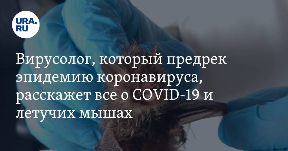 Михаил Щелканов - Вирусолог, который предрек эпидемию коронавируса, расскажет все о COVID-19 и летучих мышах - ura.news - Москва - Китай
