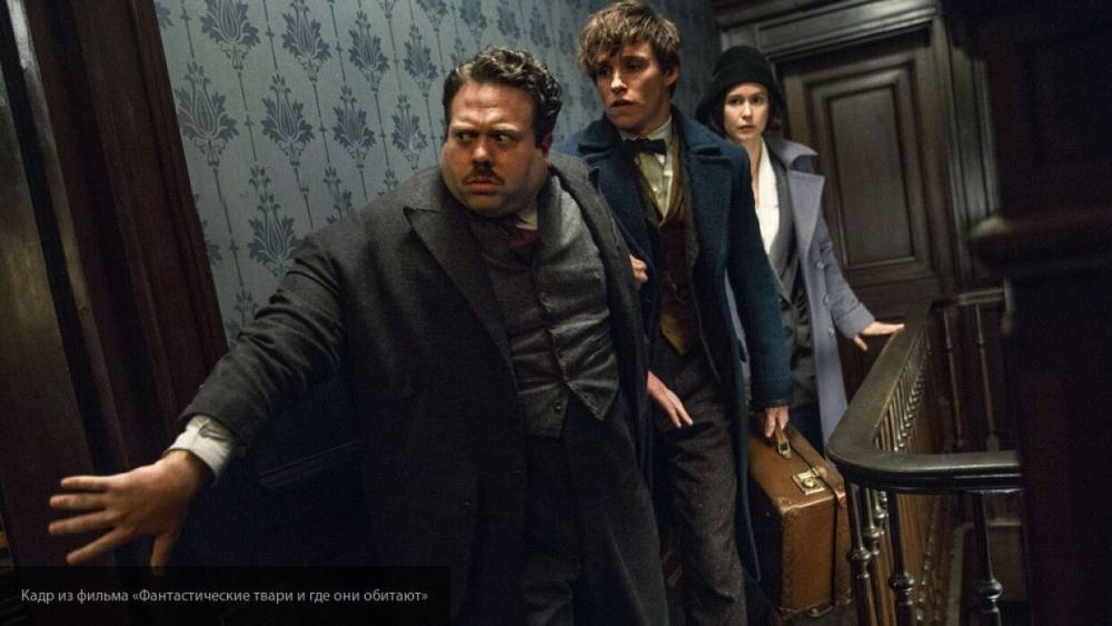 Гарри Поттер - Джоан Роулинг - Известные герои из "Гарри Поттера" появятся в новой части "Фантастических тварей" - nation-news.ru