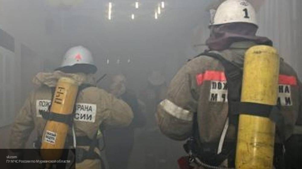Мария Базарева - Житель Пензы сгорел заживо при пожаре в частном доме - nation-news.ru - Красноярский край - Пензенская обл. - Пенза - Зеленогорск