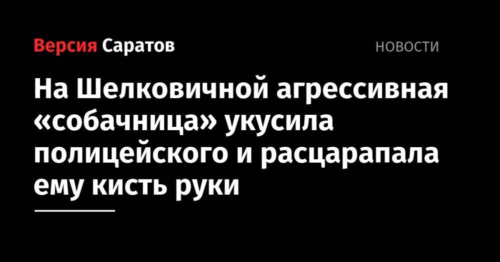 На Шелковичной агрессивная «собачница» укусила полицейского и расцарапала ему кисть руки - nversia.ru - Россия - Саратов