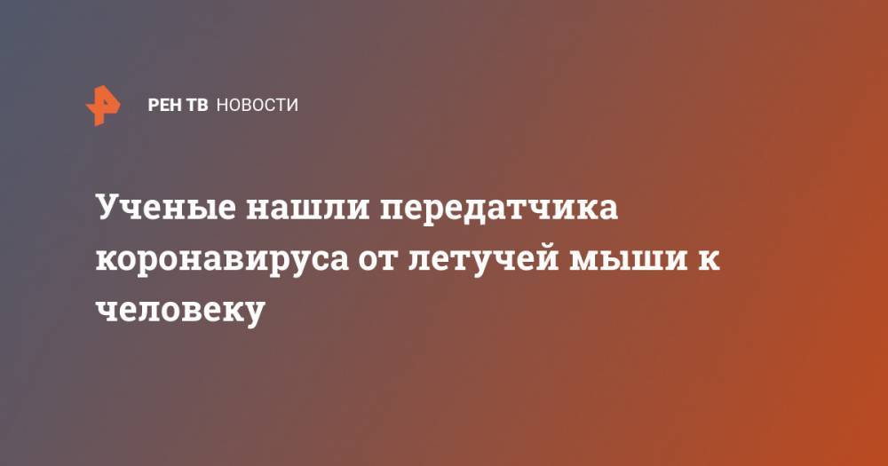 Ученые нашли передатчика коронавируса от летучей мыши к человеку - ren.tv - Канада - Оттава