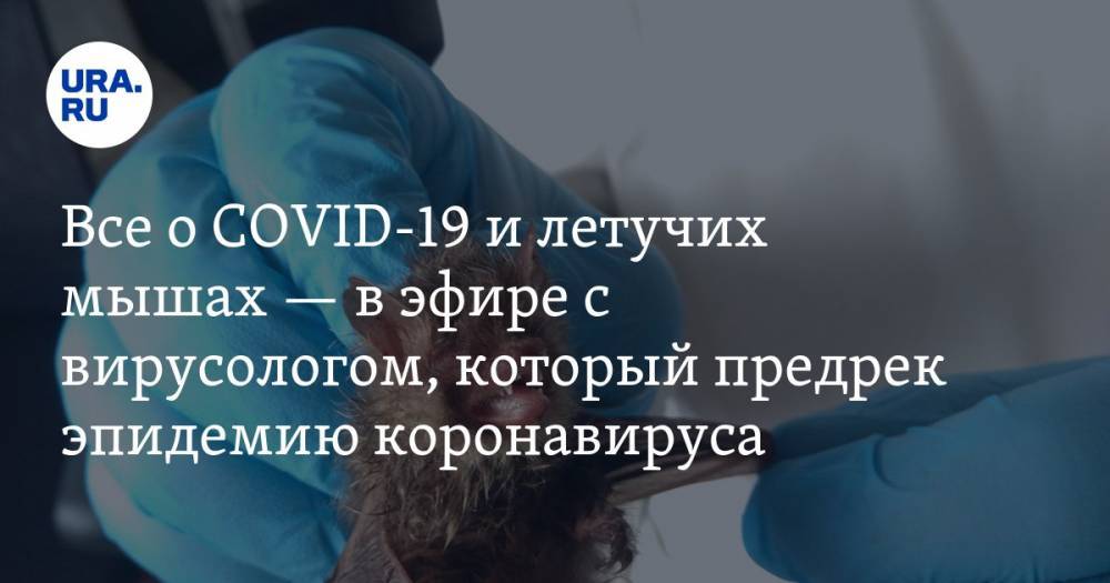Все о COVID-19 и летучих мышах — в эфире с вирусологом, который предрек эпидемию коронавируса - ura.news - Екатеринбург