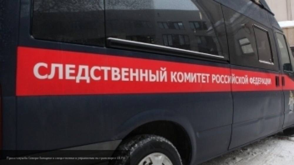 Взрослых и ребенка нашли мертвыми в один день в Челябинской области - nation-news.ru - Россия - Челябинская обл. - Магнитогорск