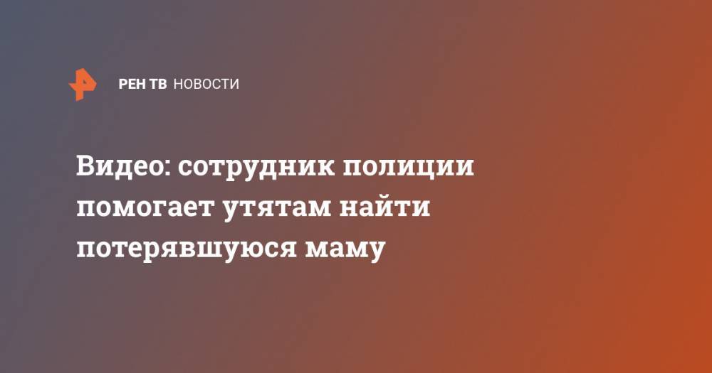 Видео: сотрудник полиции помогает утятам найти потерявшуюся маму - ren.tv - USA - Хьюстон