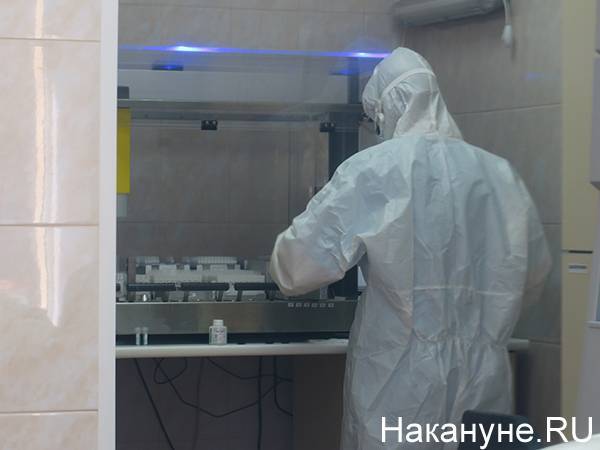 В Тюмени врачи сообщили, что тест на коронавирус делается около семи часов - nakanune.ru - Тюмень