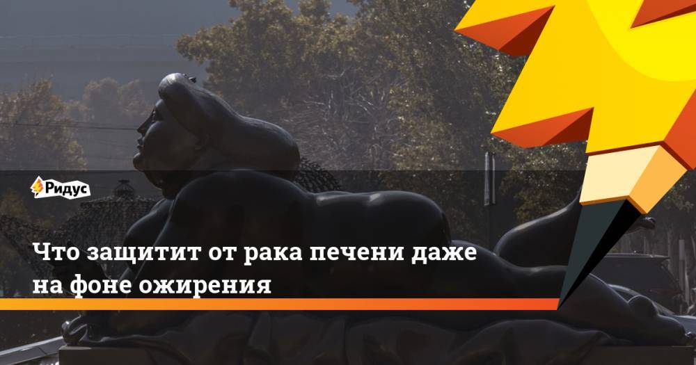Что защитит от рака печени даже на фоне ожирения - ridus.ru