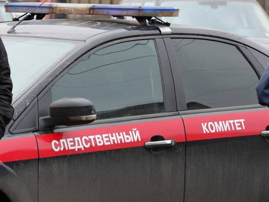 Леонид Рошаль - Геннадий Черкасов - СК ответил Рошалю на критику проверки зараженной коронавирусом больницы - newtvnews.ru - Россия - Башкирия - Уфа