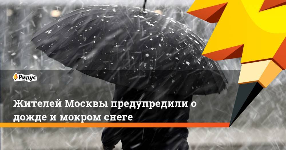 Роман Вильфанд - Жителей Москвы предупредили о дожде и мокром снеге - ridus.ru - Москва - Россия - Московская обл.