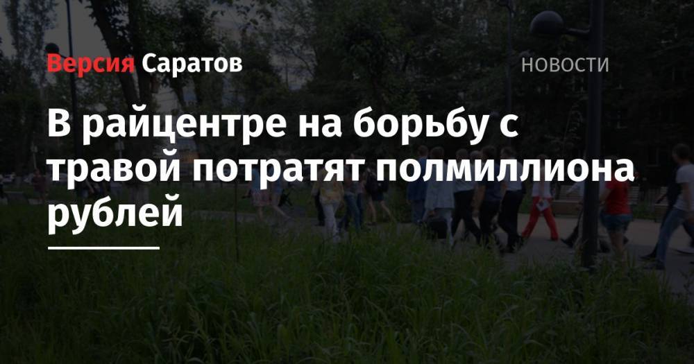 В райцентре на борьбу с сорной растительностью потратят полмиллиона рублей - nversia.ru - район Лысогорский