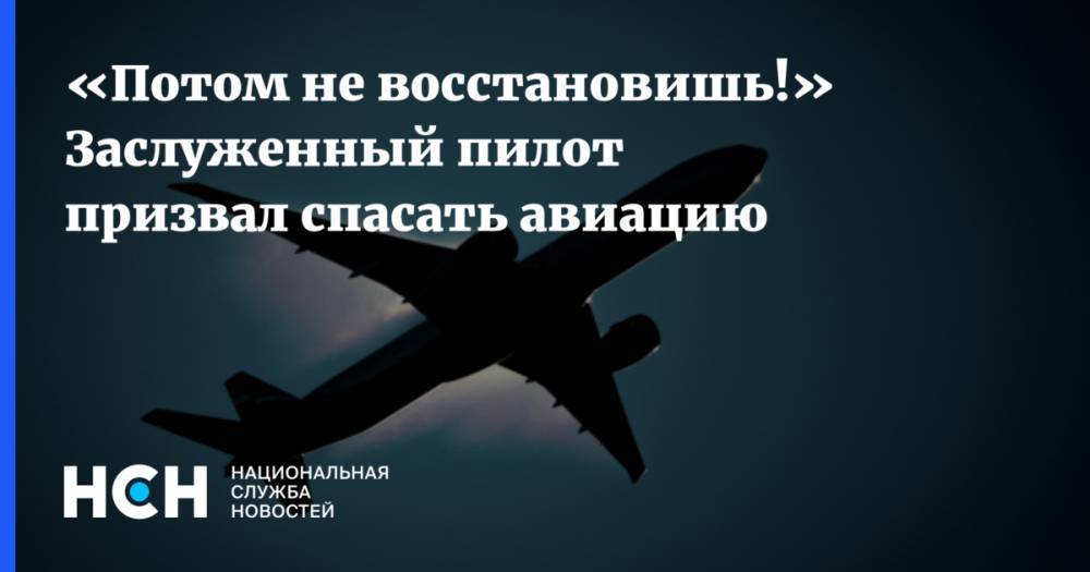 Владимир Путин - Олег Смирнов - «Потом не восстановишь!» Заслуженный пилот призвал спасать авиацию - nsn.fm - Россия