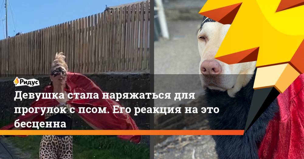 Девушка стала наряжаться для прогулок с псом. Его реакция на это бесценна - ridus.ru - Англия