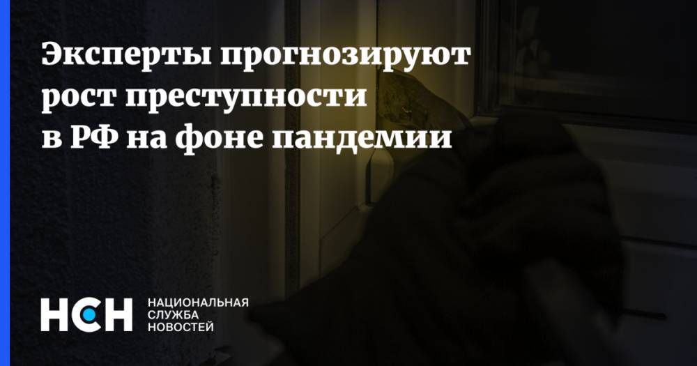 Юрий Синельщиков - Эксперты прогнозируют рост преступности в РФ на фоне пандемии - nsn.fm - Москва - Россия