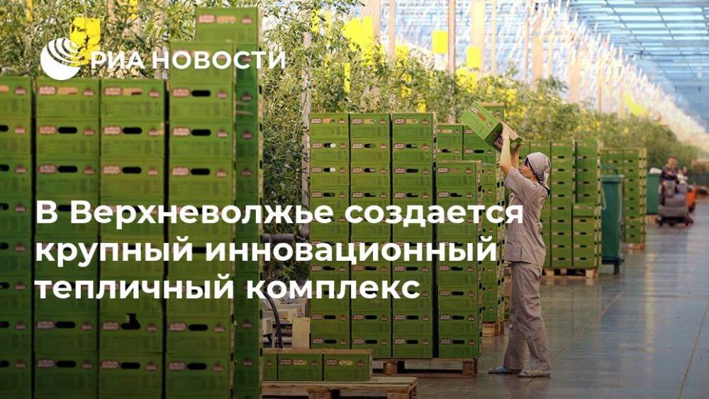 В Верхневолжье создается крупный инновационный тепличный комплекс - ria.ru - Тверь - Тверская обл. - район Кувшиновский