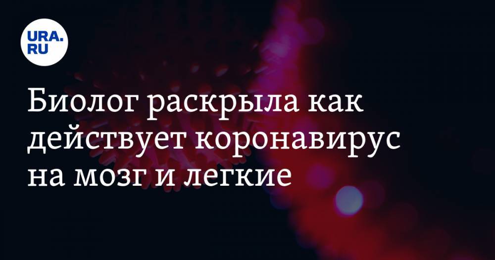 Джордж Мейсон - Биолог раскрыла как действует коронавирус на мозг и легкие - ura.news - США