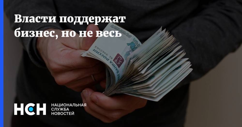 Власти поддержат бизнес, но не весь - nsn.fm