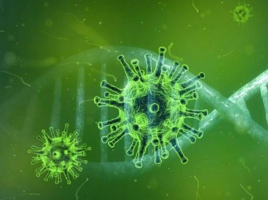 Развеян миф об источнике коронавирусов - newtvnews.ru - Шотландия