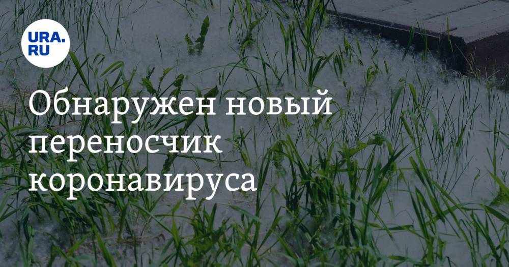 Надежда Логина - Обнаружен новый переносчик коронавируса - ura.news