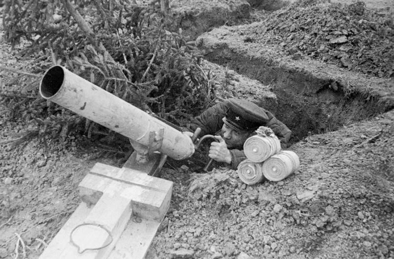 Возле частного дома воронежцы нашли стеклянные шары с зажигательной смесью - moe-online.ru