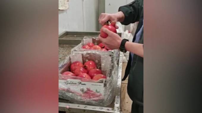 В Большом порту Петербурга проверили 2731 тонну свежих гранатов - piter.tv - Ленинградская обл. - Израиль - Индия - Юар - Петербурга