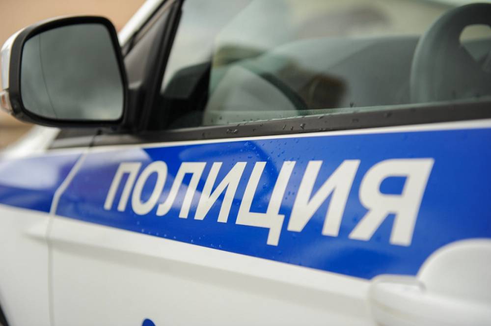 Татьяна Петрова - Более килограмма наркотиков изъяли из иномарки в Подмосковье - vm.ru - Россия - Воронеж - Московская обл.