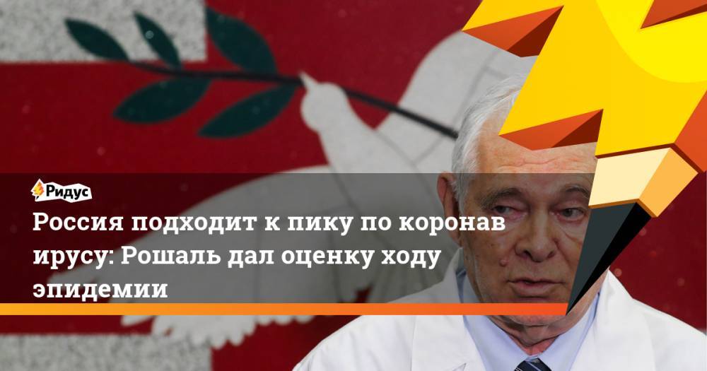 Леонид Рошаль - Россия подходит кпику покоронавирусу: Рошаль дал оценку ходу эпидемии - ridus.ru - Россия