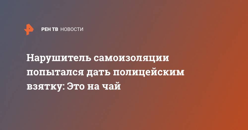 Нарушитель самоизоляции попытался дать полицейским взятку: Это на чай - ren.tv - Москва - Московская обл.