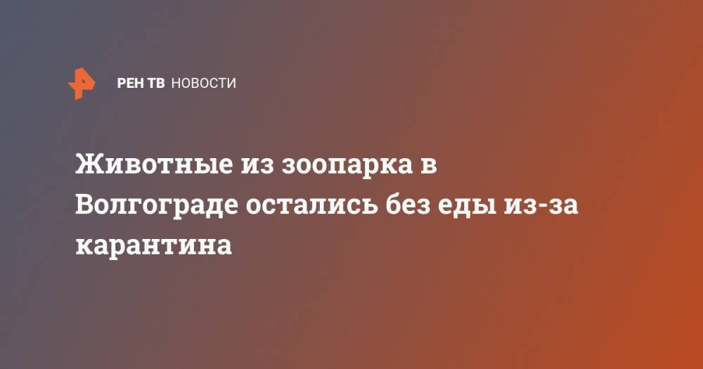 Животные из зоопарка в Волгограде остались без еды из-за карантина - ren.tv - Набережные Челны - Волгоград - Волгоградская обл.